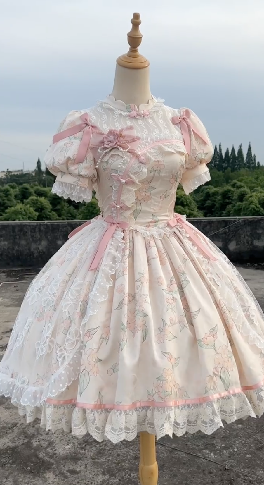 Sweet Classic Victorian Lace Lolita Dress with Floral Appliques