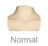 ShugaFairy Pegasus doll neck option labeled 'Normal' for customization