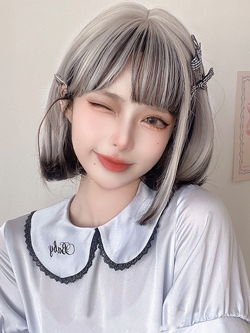 Shoulder Length Straight Silver Black Highlight Hair Color Synthetic Wig