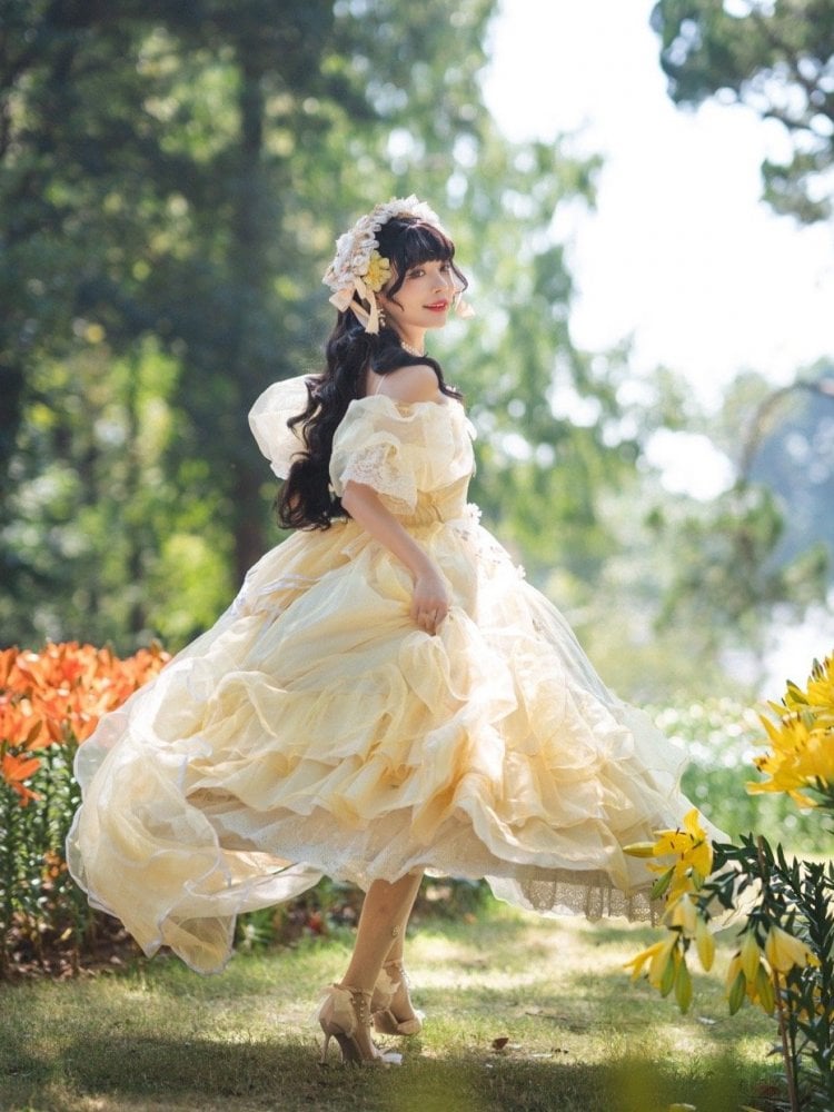 Plus Size Friendly Beauty and the Beast Vibes Floral Embroidery Princess Dress
