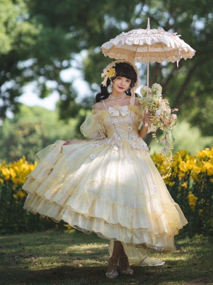 Plus Size Friendly Beauty and the Beast Vibes Floral Embroidery Princess Dress