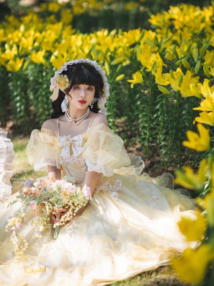 Plus Size Friendly Beauty and the Beast Vibes Floral Embroidery Princess Dress