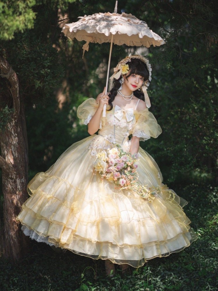 Plus Size Friendly Beauty and the Beast Vibes Floral Embroidery Princess Dress