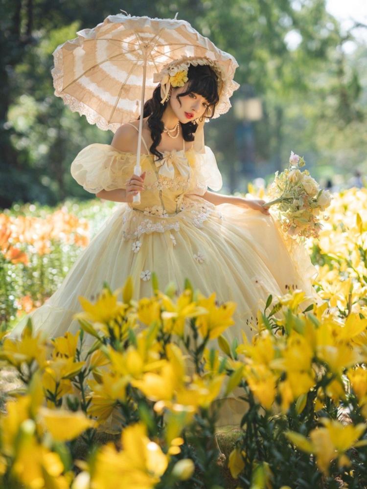 Plus Size Friendly Beauty and the Beast Vibes Floral Embroidery Princess Dress