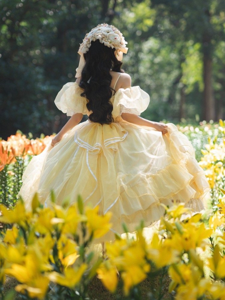 Plus Size Friendly Beauty and the Beast Vibes Floral Embroidery Princess Dress