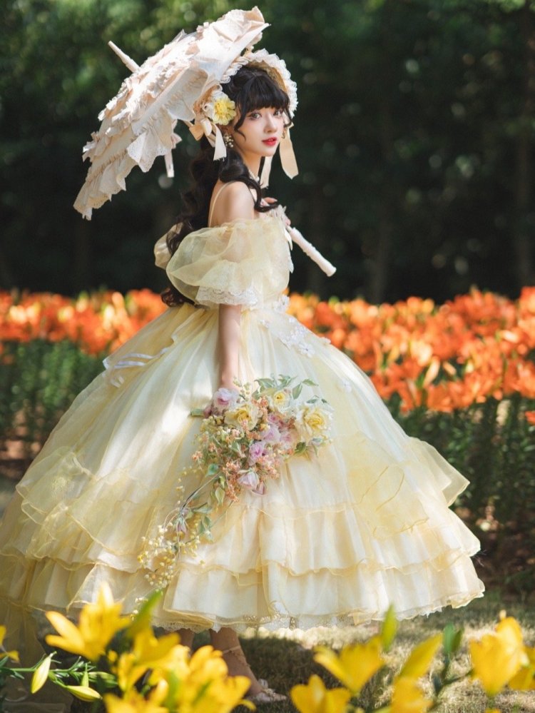 Plus Size Friendly Beauty and the Beast Vibes Floral Embroidery Princess Dress