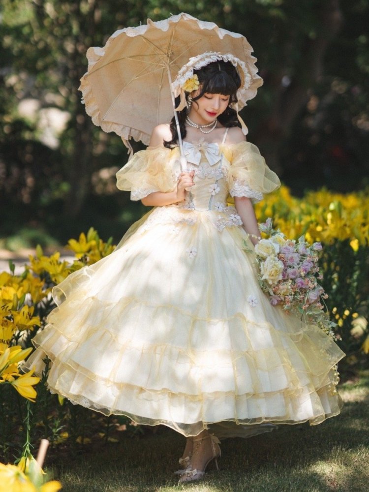 Plus Size Friendly Beauty and the Beast Vibes Floral Embroidery Princess Dress