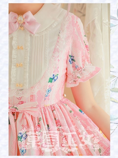 Blueberry Short Sleeves Lolita Dress OP