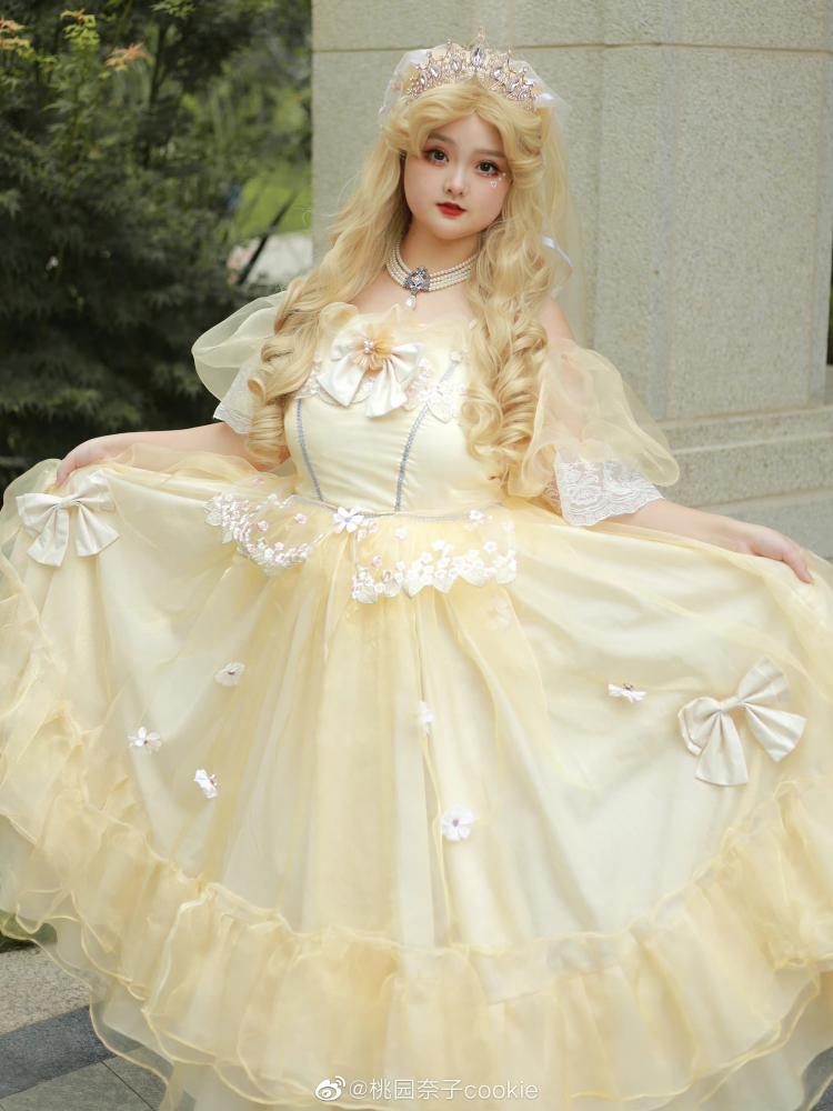 Plus Size Friendly Beauty and the Beast Vibes Floral Embroidery Princess Dress