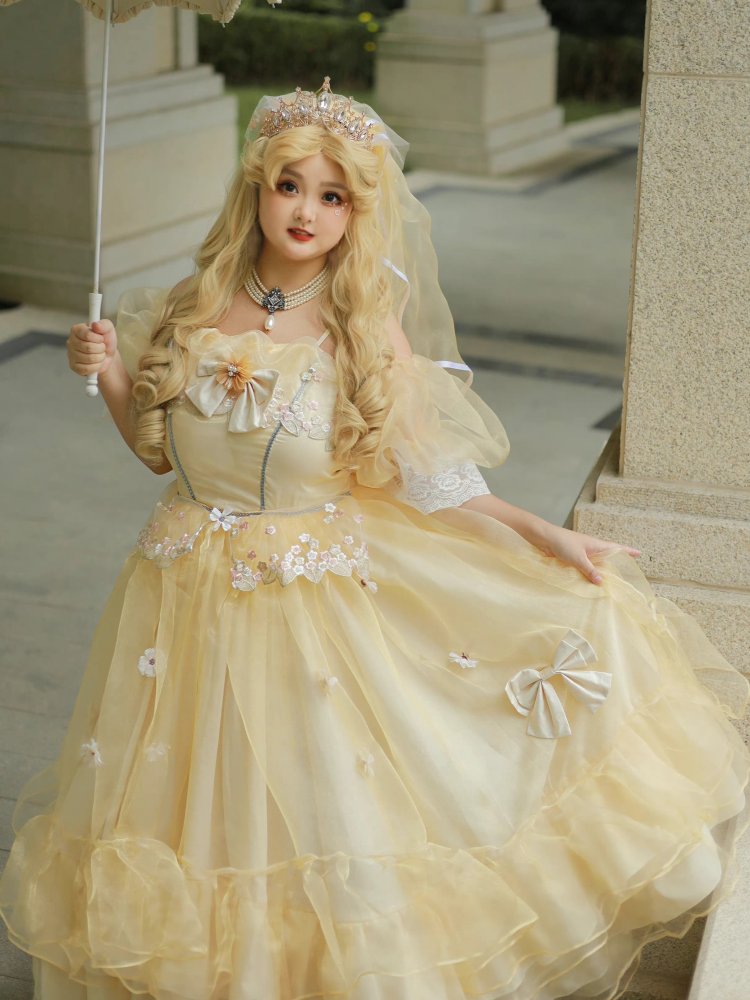 Plus Size Friendly Beauty and the Beast Vibes Floral Embroidery Princess Dress