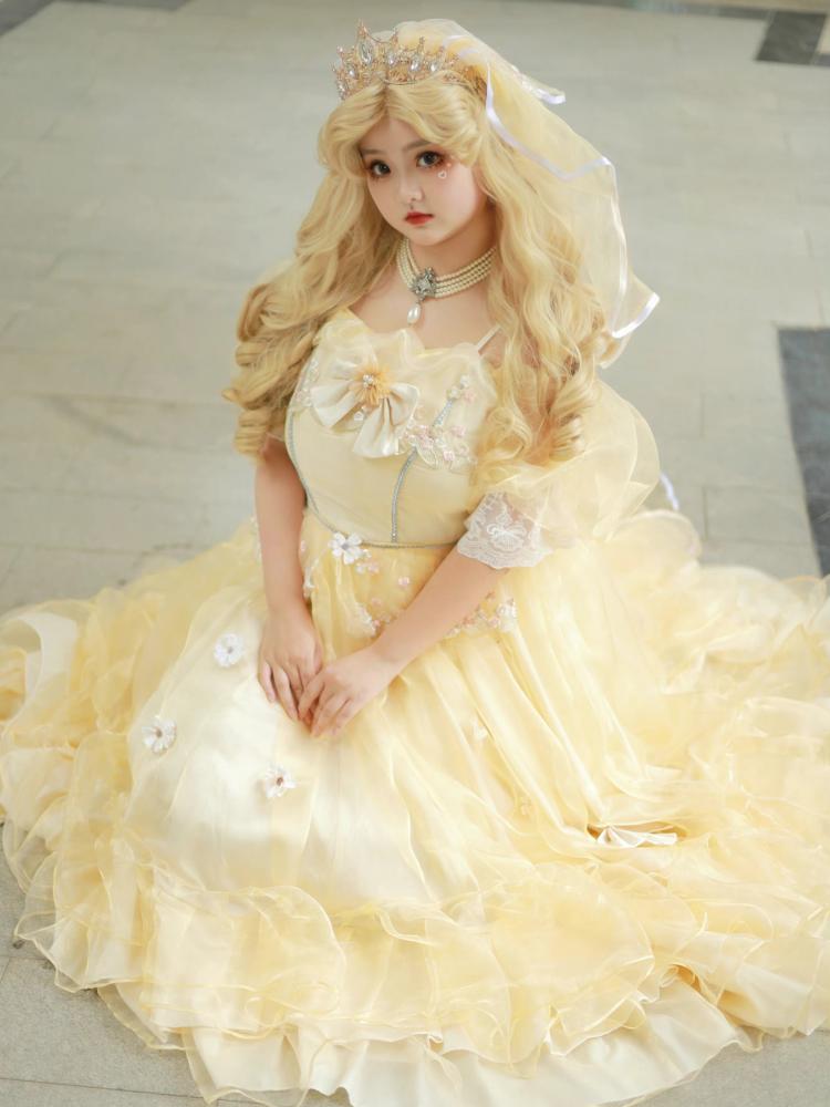 Plus Size Friendly Beauty and the Beast Vibes Floral Embroidery Princess Dress