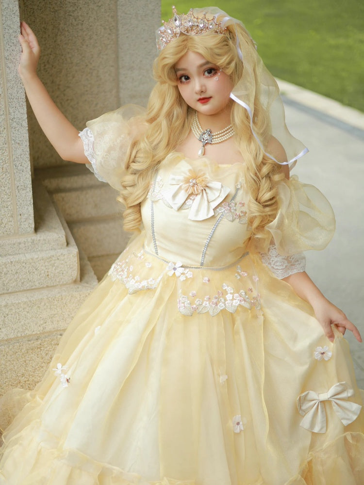Plus Size Friendly Beauty and the Beast Vibes Floral Embroidery Princess Dress
