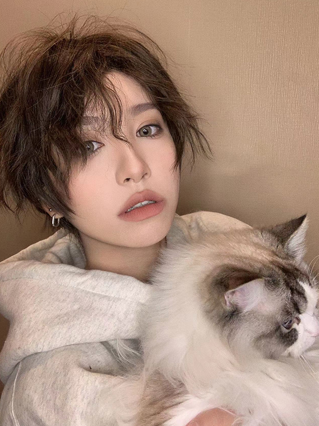 In Stock Brown Wavy Boy Style Wig