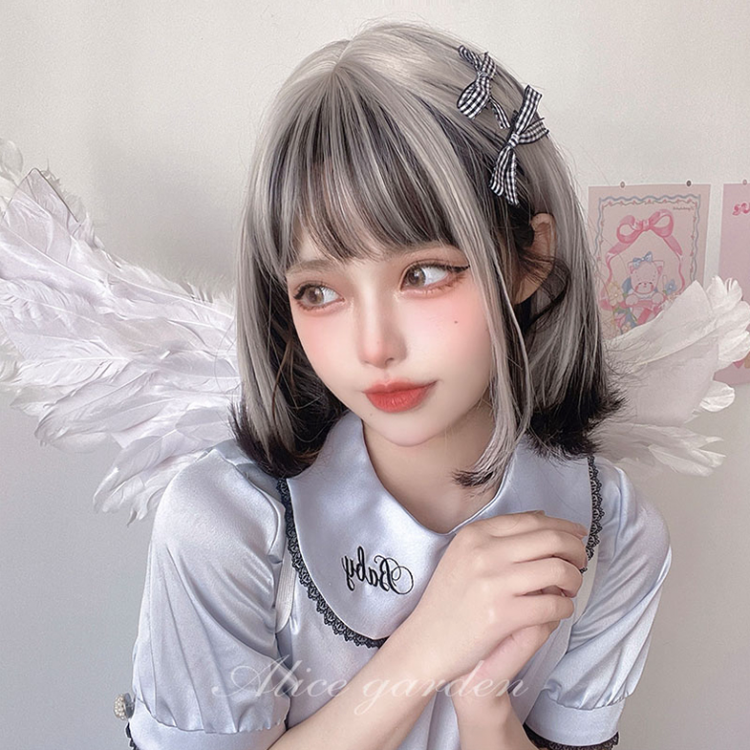 Shoulder Length Straight Silver Black Highlight Hair Color Synthetic Wig