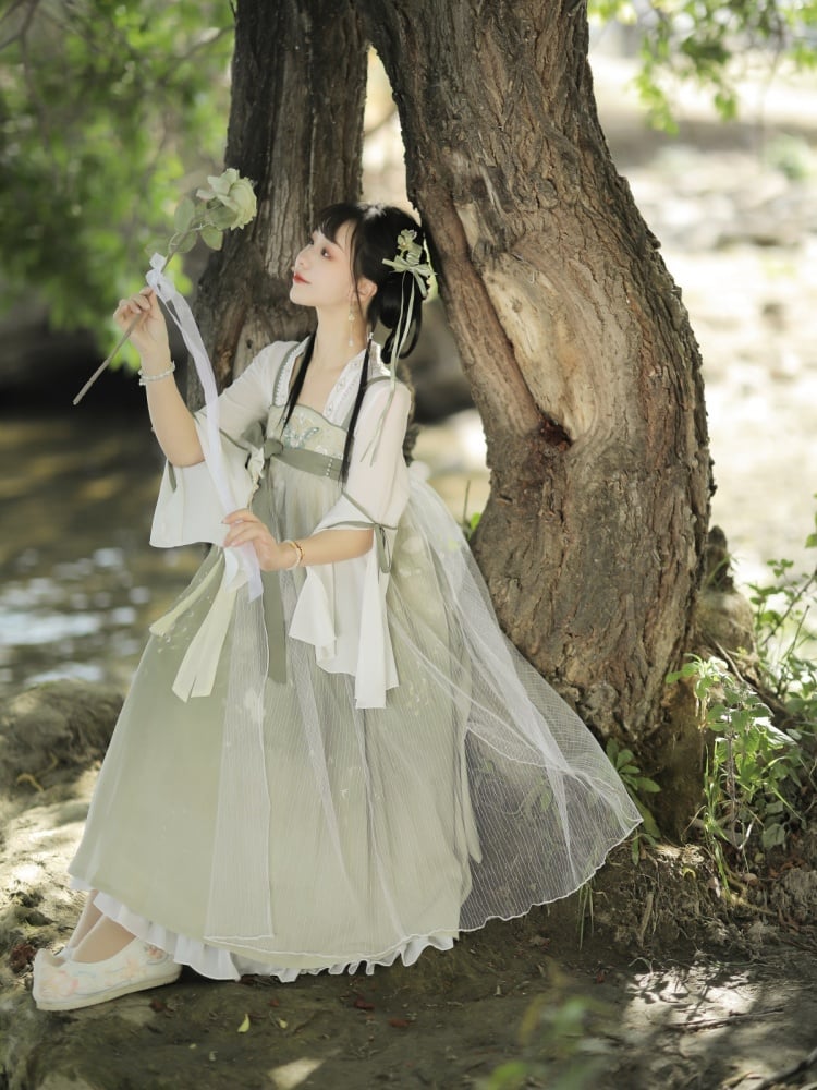 Light Green Floral and Butterfly Embroidery Han Slip Dress