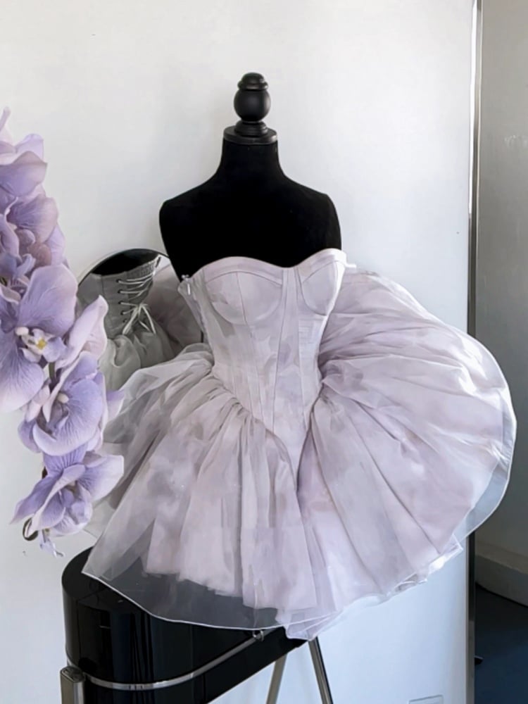 Iris Purple Basque Waist Strapless Ballet Dress