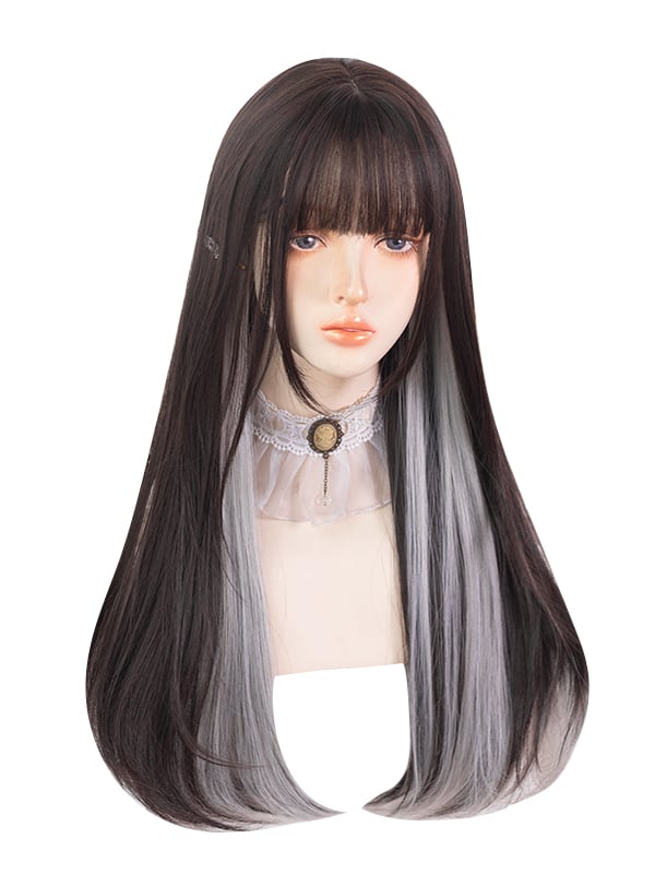 Silver Gray Highlights Long Straight Synthetic Wig