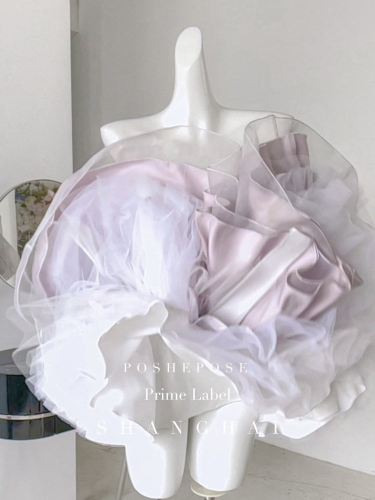 Iris Purple Basque Waist Strapless Ballet Dress