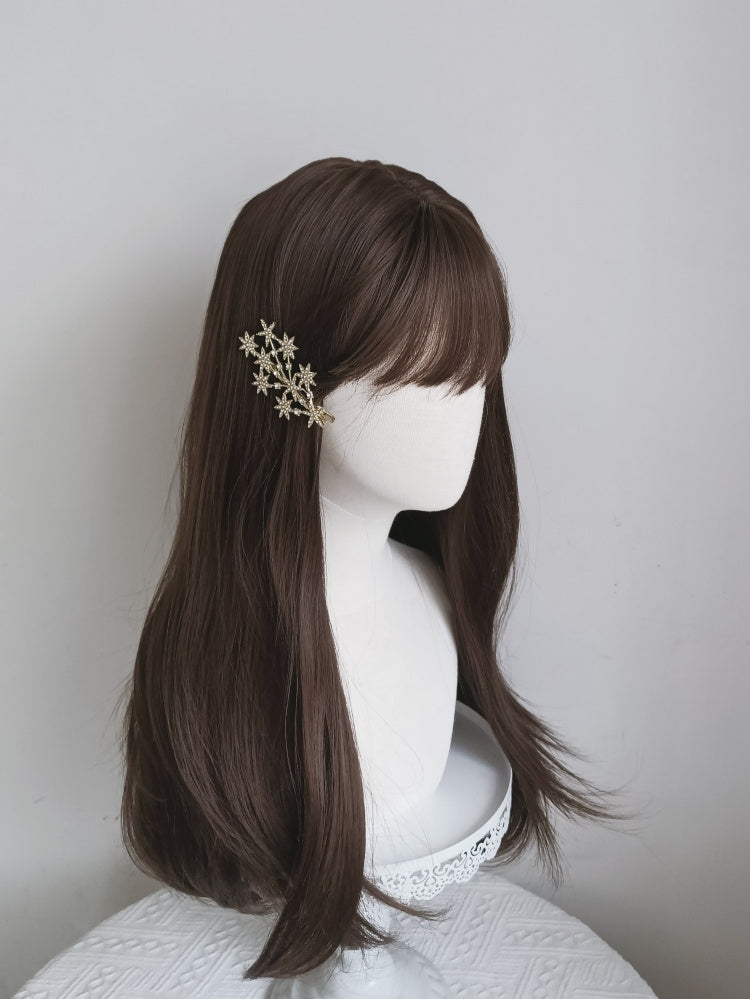 Brown Long Straight Wig with Bangs