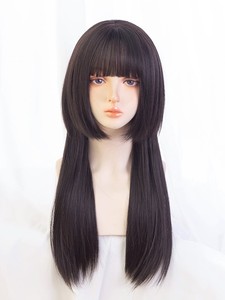 Dark Brown Straight Jellyfish Haircut Synthetic Wig